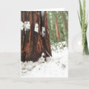 Search for sequoia cards Trees