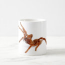 Search for venom mugs Arachnid