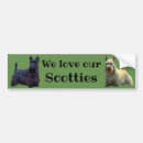 Search for wheaten terrier Scottie