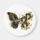 Search for butterfly magnets Black