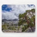 Search for evergreens mousepads Superstock