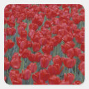 Search for bedding stickers Usa