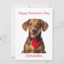 Search for dachshund valentines day cards Weiner