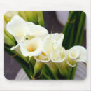 Search for calla lilies mousepads Bouquet