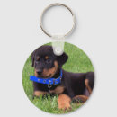 Search for rottweiler key rings Pets
