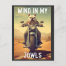 Search for dog on motorcycle postcards Dogs