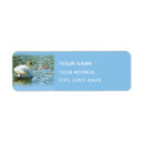 Search for swan return address labels Blue