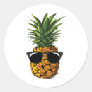 Search for hawaiian shirt stickers Saltlife