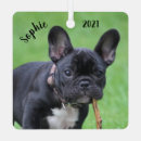Search for french bulldog decor Puppies