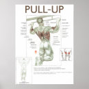 Search for pull posters Gym