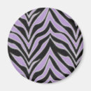 Search for zebra round magnets Stripe