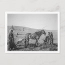 Search for cree Photographer