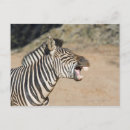 Search for game reserve postcards Horizontal