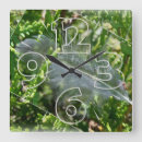 Search for white feather clocks Background