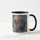 Search for herbivorous mugs Usa