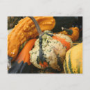 Search for gourd postcards Fall