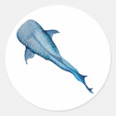 Search for whale shark stickers Watercolor