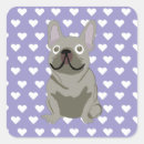Search for grey dog stickers Animal