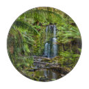 Search for wood chopping boards Forest
