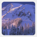 Search for mt rainier stickers Snow