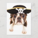 Search for boston terrier cards Breed