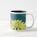 Search for reef mugs Outdoors