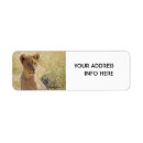 Search for cubs return address labels Wildlife