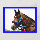 Search for horse sports postcards Thoroughbred