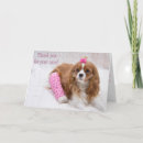 Search for hurt cards Dog