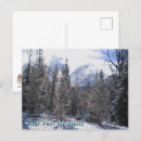 Search for winter trees postcards Blue