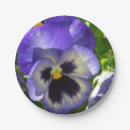 Search for pansy plates Flowers