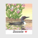 Search for minnesota loon stickers Minnesota state bird