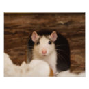 Search for nesting art Cute