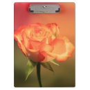 Search for pretty clipboards Orange