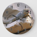 Search for rhino clocks Wildlife