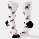 Search for welsh corgi socks Cute