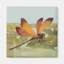 Search for marshes magnets Animal