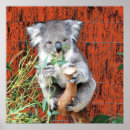 Search for snacking posters Animals