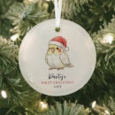 Search for cockatiel christmas tree decorations Pet bird