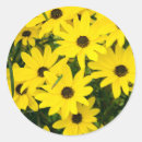 Search for bright yellow flower stickers Summer