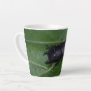 Search for beetle mugs Coleoptera