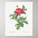 Search for rosa art Vintage