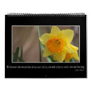 Search for optimism office supplies Motivation
