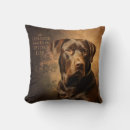 Search for chocolate lab cushions Chocolate labrador retriever