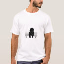 Search for height jokes Humour