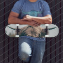 Search for cow skateboards Animal