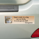 Search for main bumper stickers Fun