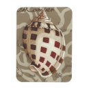 Search for sonnets magnets Coastal