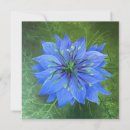 Search for mist flower cards Love in a mist