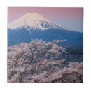Search for cherry blossoms coasters Lake kawaguchi